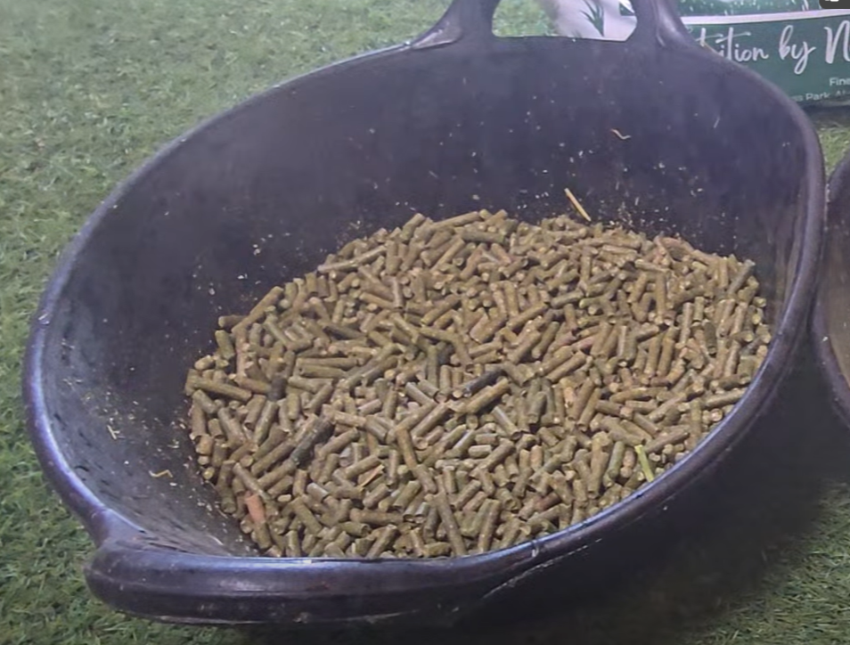 Finer Forage Sample Pack