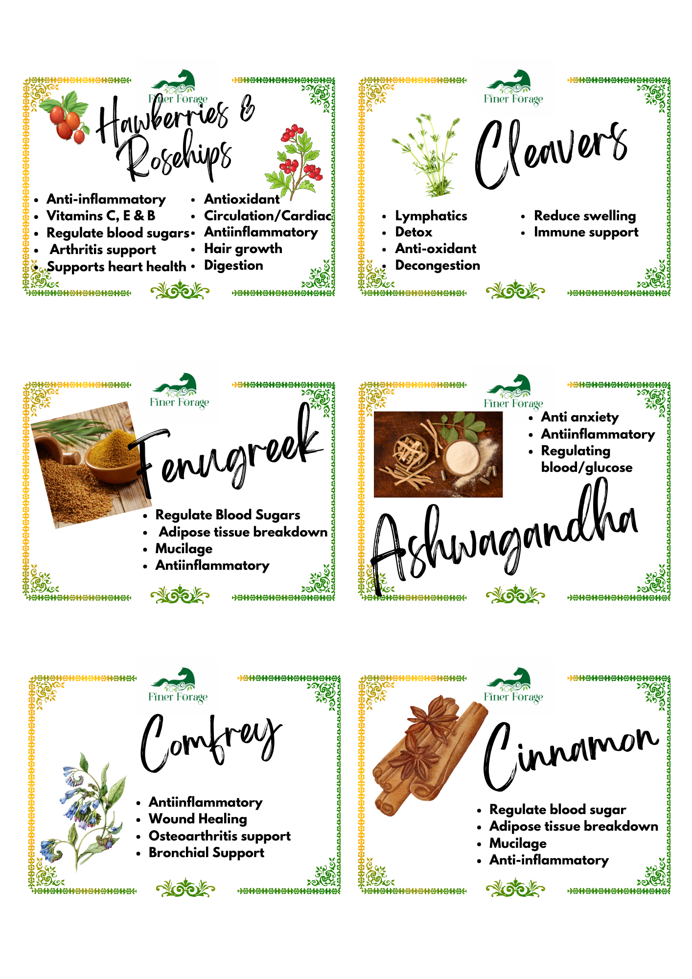 Seasonal Solutions - Winter Water Buffet Kit