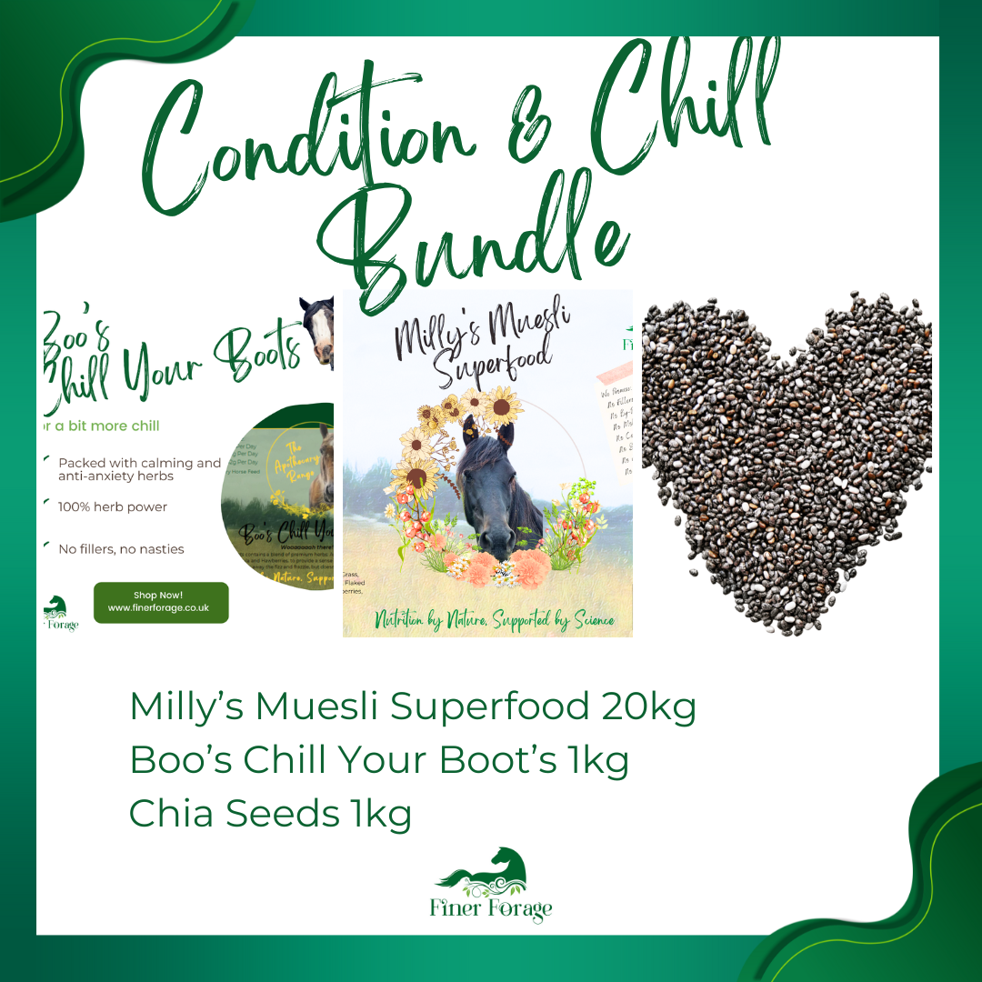 Condition & Chill Bundle