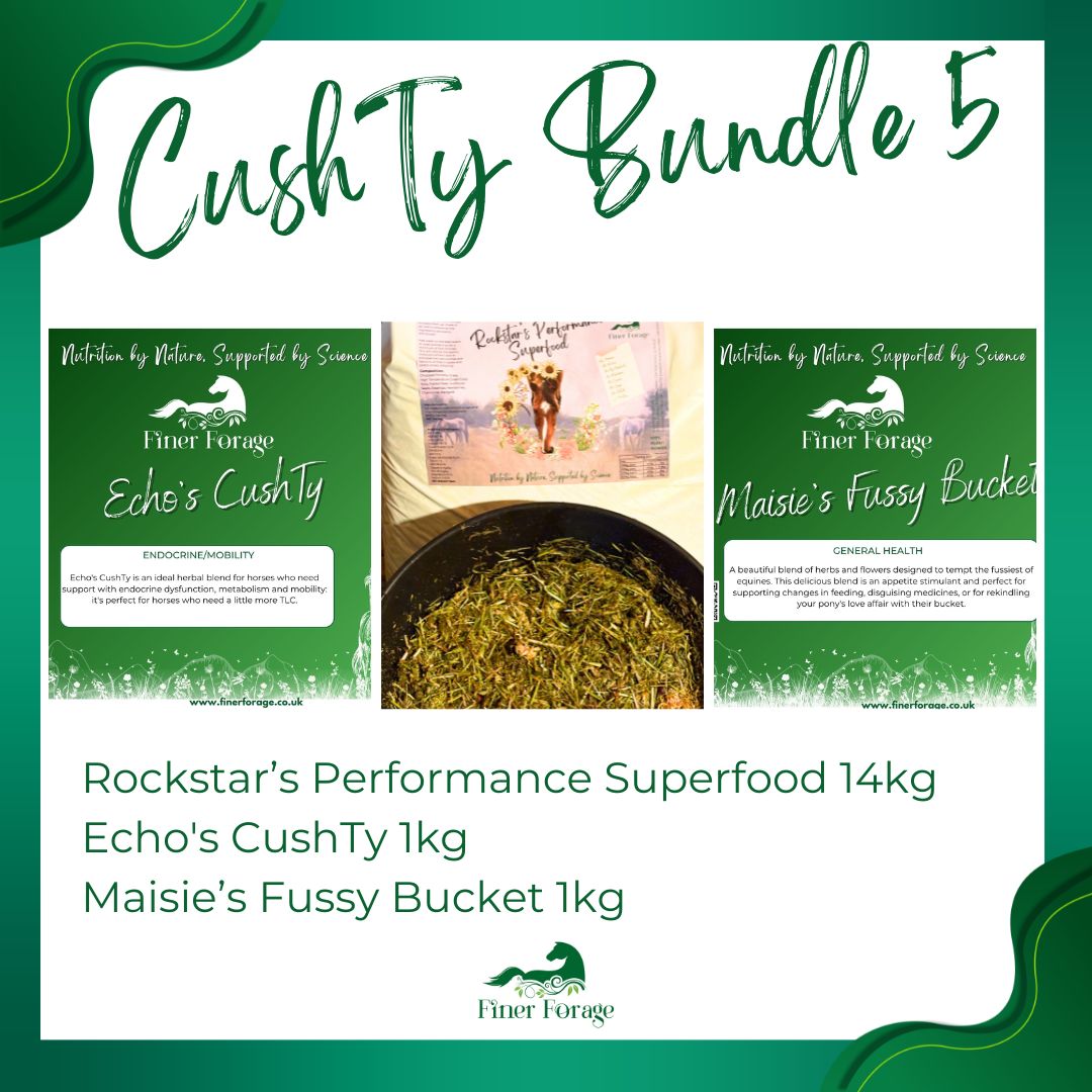 CushTy Bundle 5