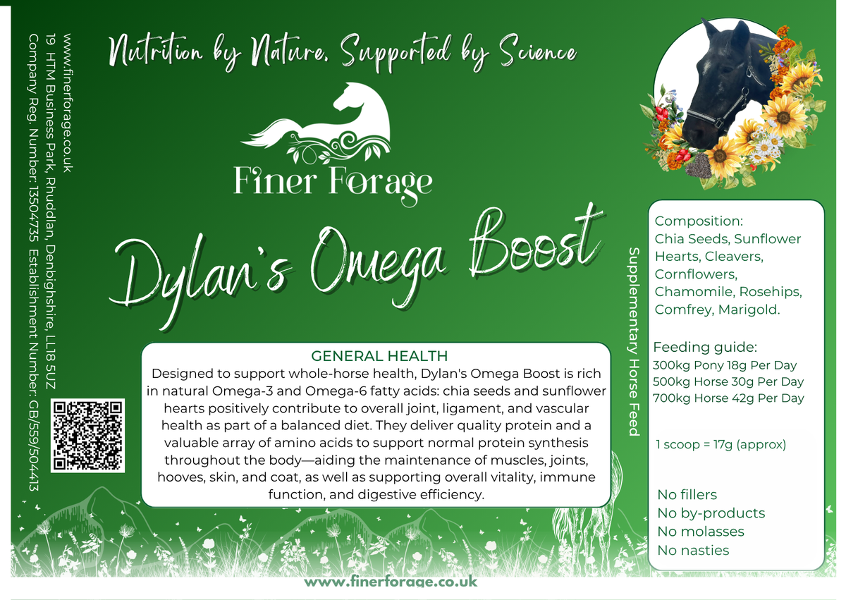 Dylan's Omega Boost