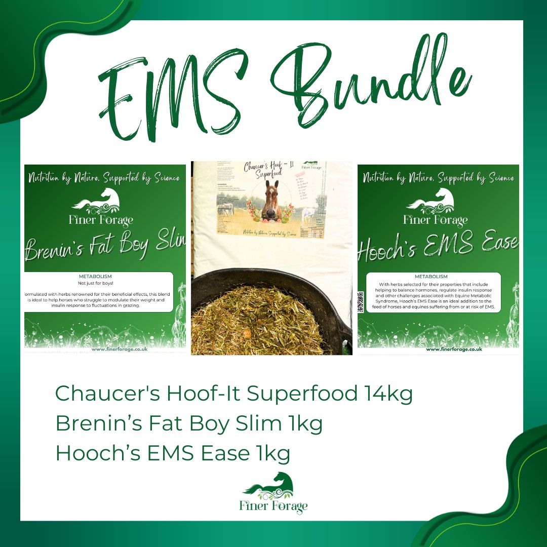 EMS Bundle