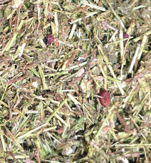 Close-up of dried grass and herbs healthy horse food
