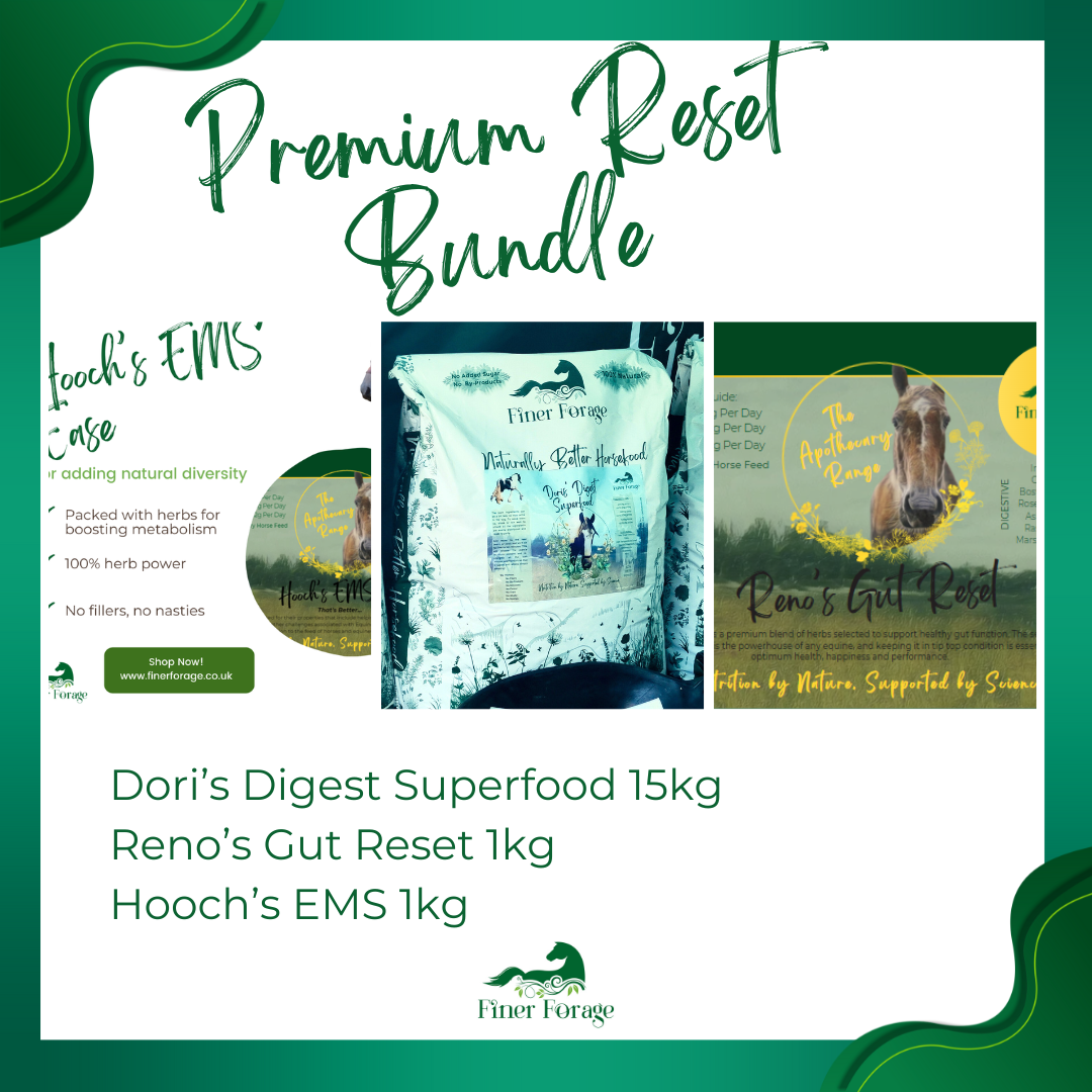 Premium Reset Bundle