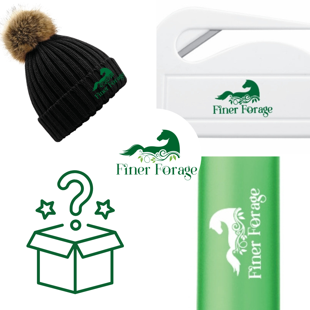 Advent Calendar 2025