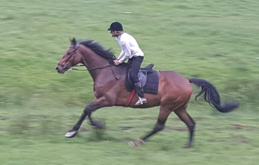 Hot weather and hydration when exercising your horse