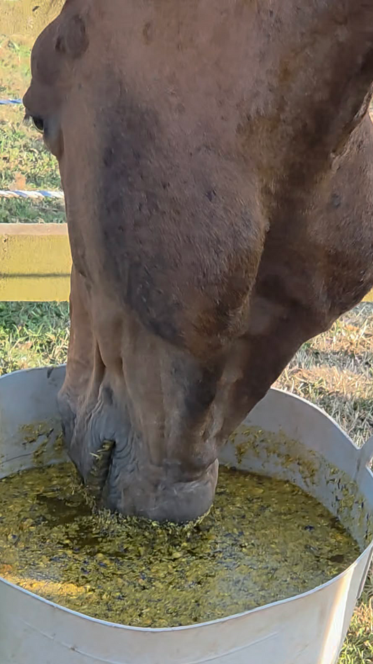Water Buffets – What’s all the fuss?