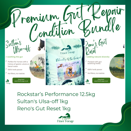 Premium Gut Repair & Condition