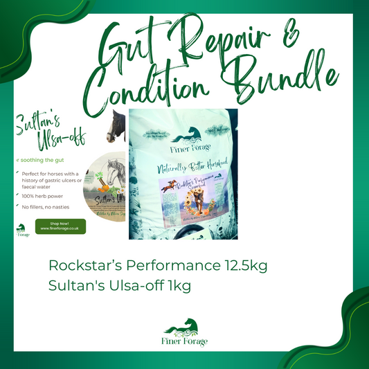 Gut Repair and Condition
