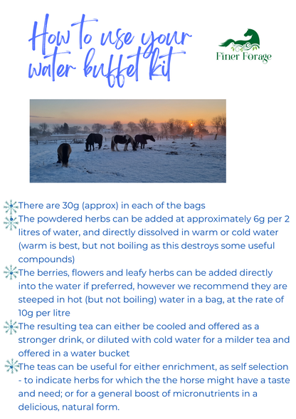 Seasonal Solutions - Winter Water Buffet Kit