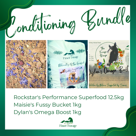 Conditioning Bundle