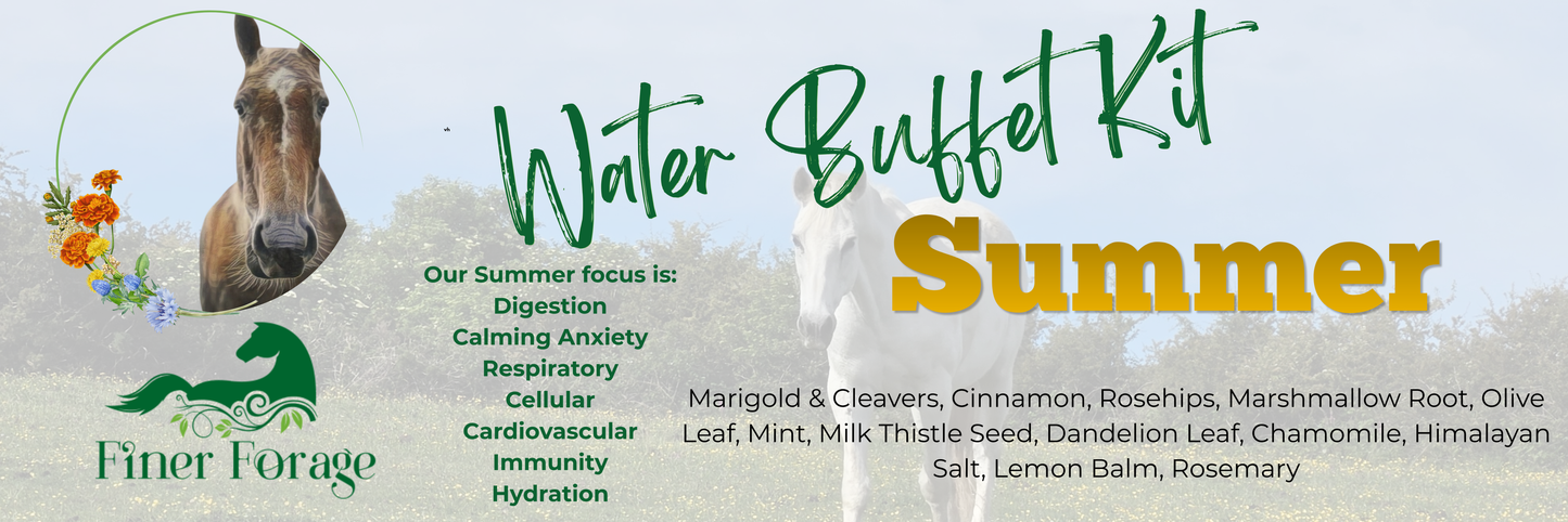 Seasonal Solutions - SUMMER Water Buffet Kit