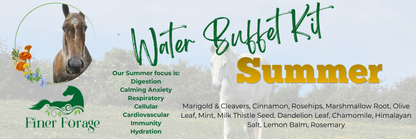 Seasonal Solutions - SUMMER Water Buffet Kit