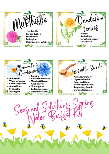 Seasonal Solutions Herbal Blend - SPRING