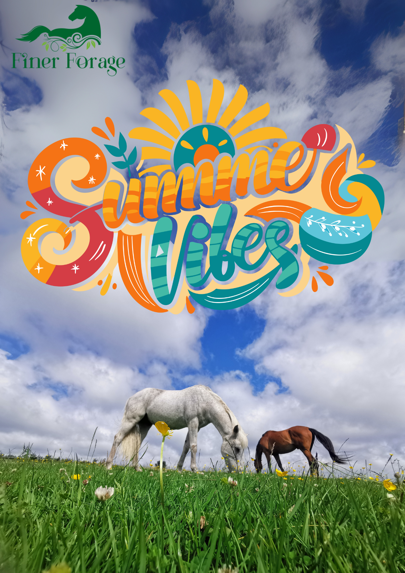 Seasonal Solutions Herbal Blend - SUMMER
