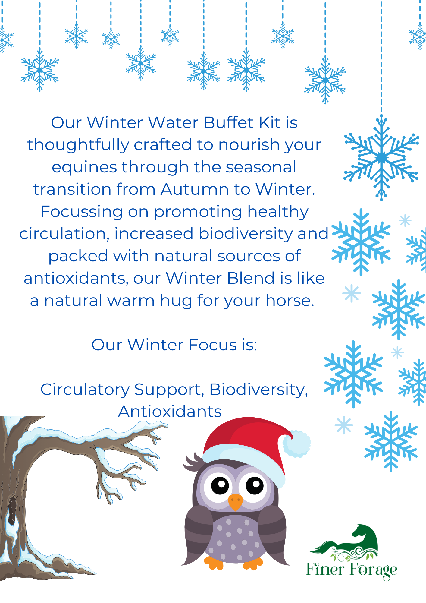 Seasonal Solutions - Winter Water Buffet Kit