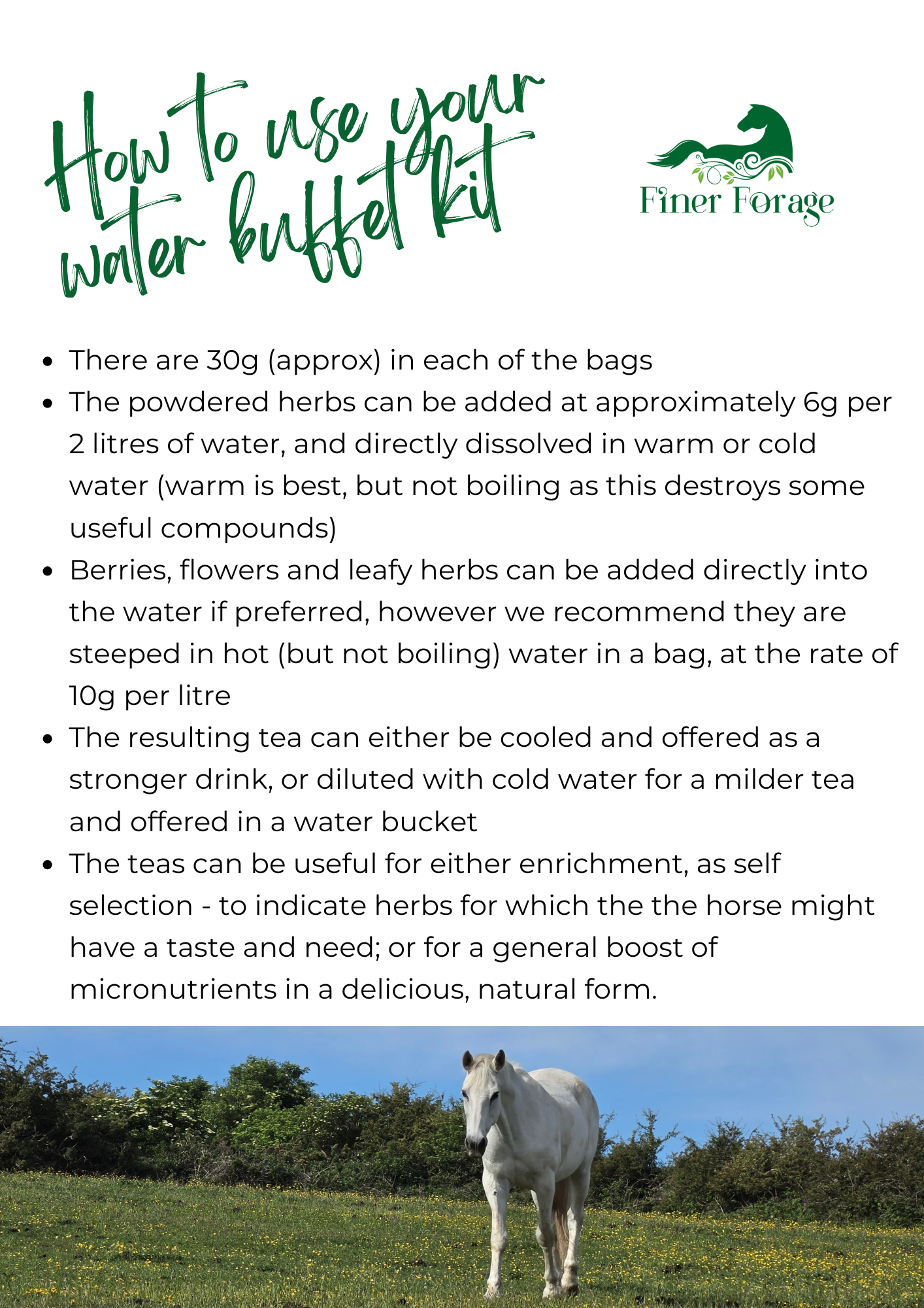 Seasonal Solutions - SUMMER Water Buffet Kit