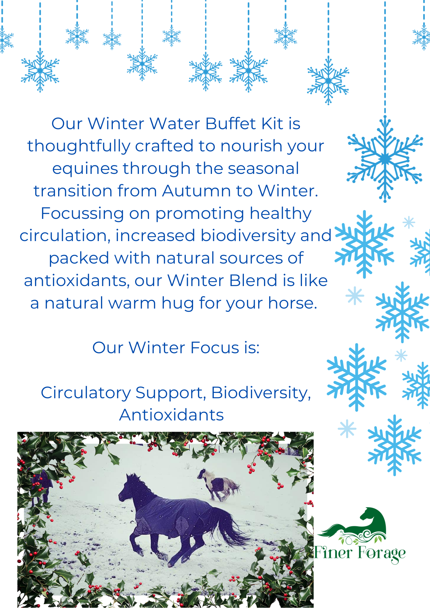 Seasonal Solutions - Winter Water Buffet Kit