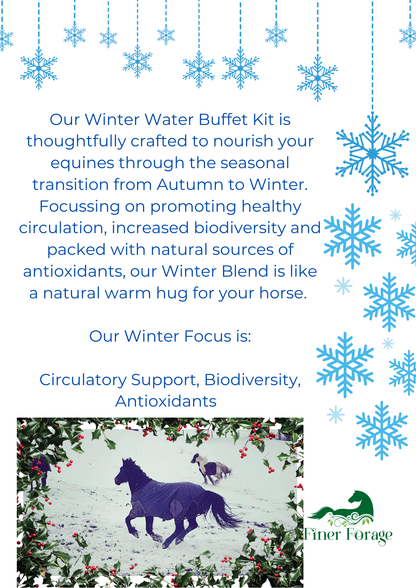 Seasonal Solutions - Winter Water Buffet Kit