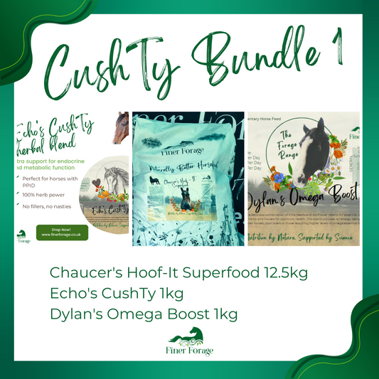 CushTy Bundle 1