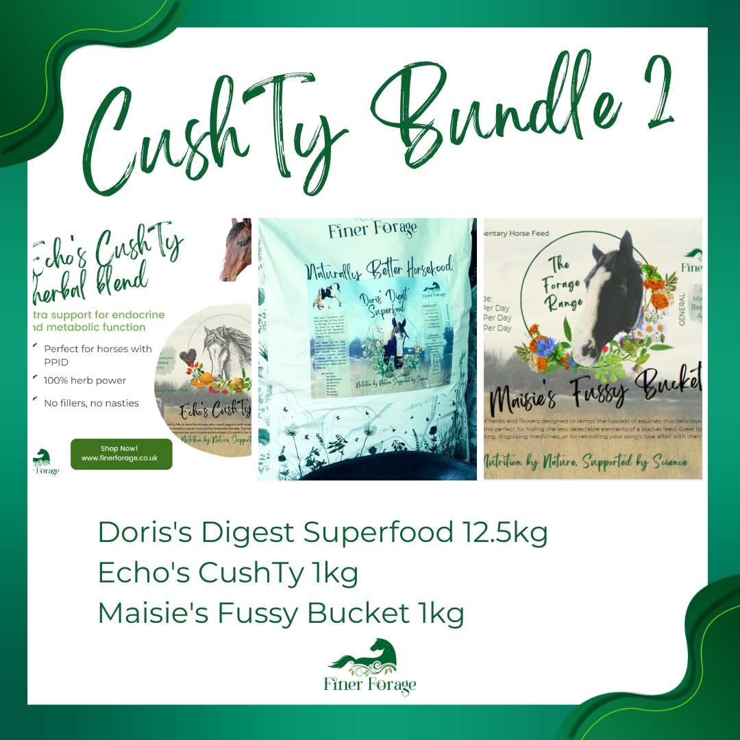 CushTy Bundle 2