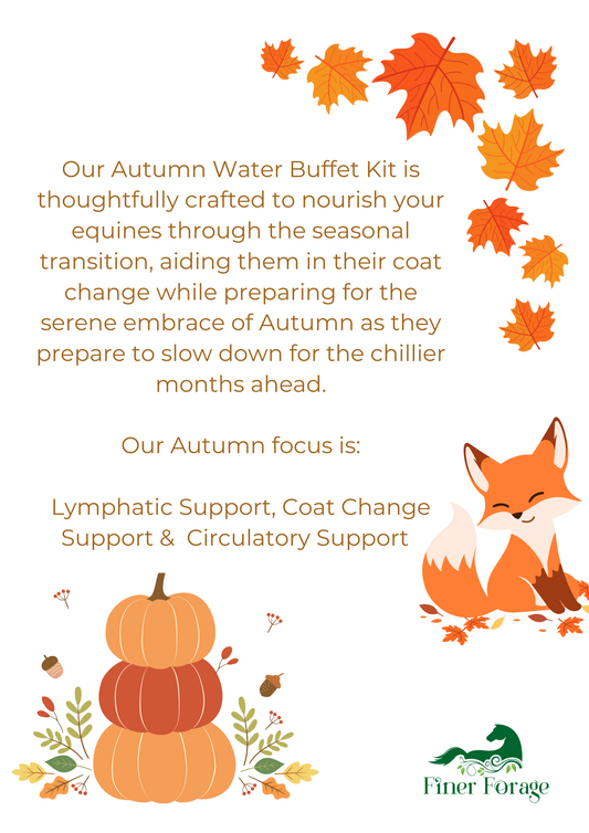 Autumn Water Buffet Kit