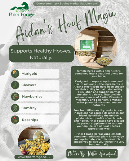 Aidan's Hoof Magic Herbal Blend