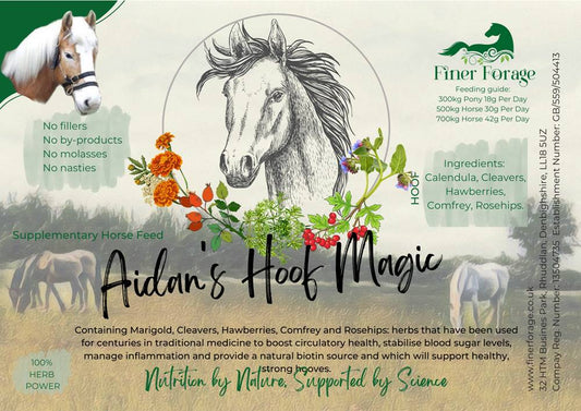 Aidan's Hoof Magic Herbal Blend