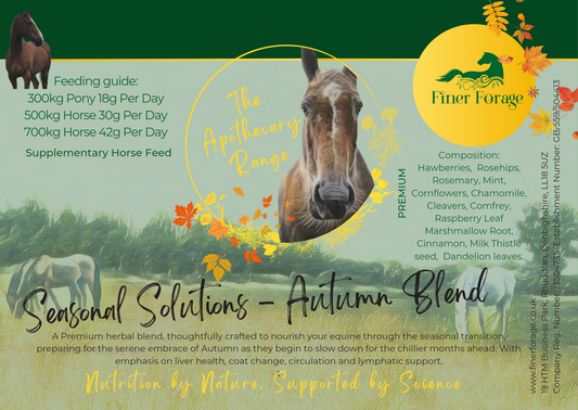 Seasonal Solutions Herbal Blend - AUTUMN