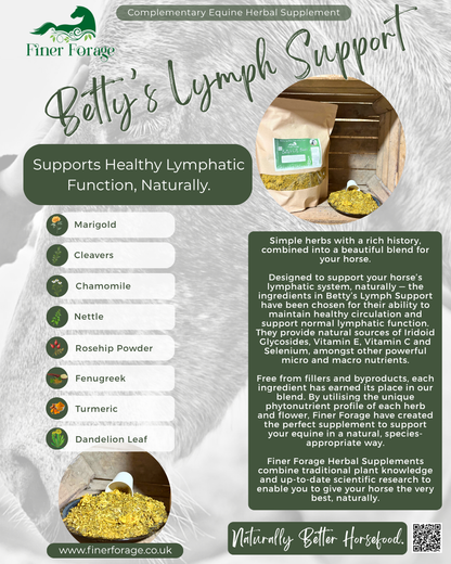 Betty's Lymph Blend