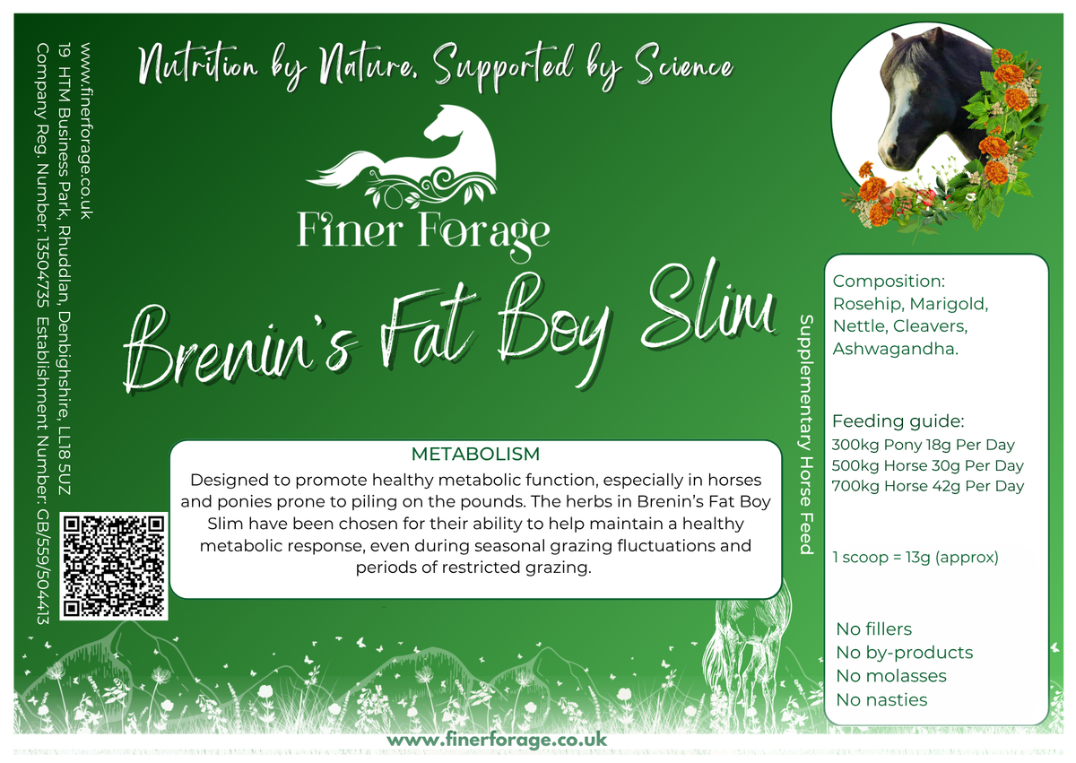 Brenin's Fat Boy Slim