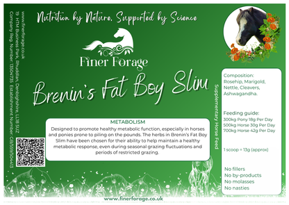Brenin's Fat Boy Slim