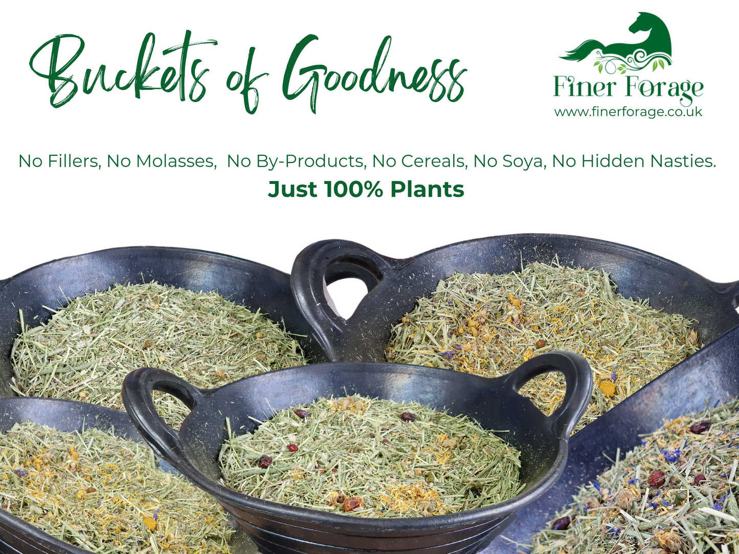 Finer Forage Sample Pack