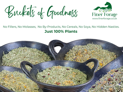 Finer Forage Sample Pack