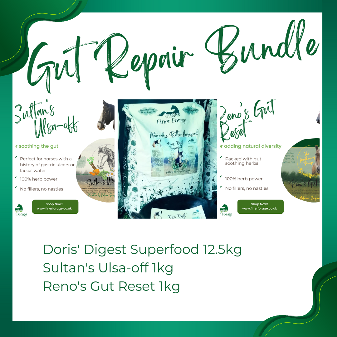 Gut Repair Bundle