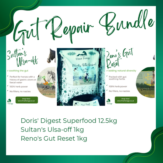 Gut Repair Bundle