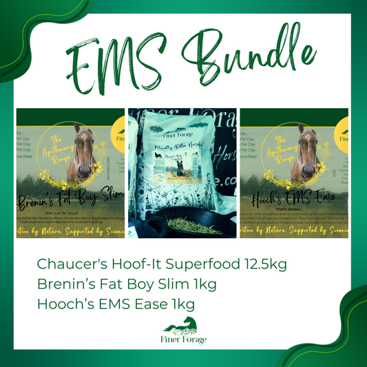 EMS Bundle