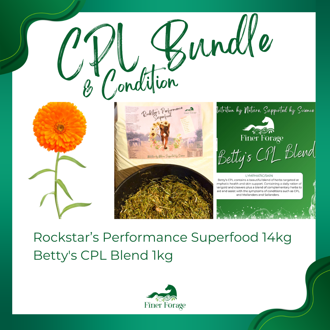 CPL & Condition Bundle