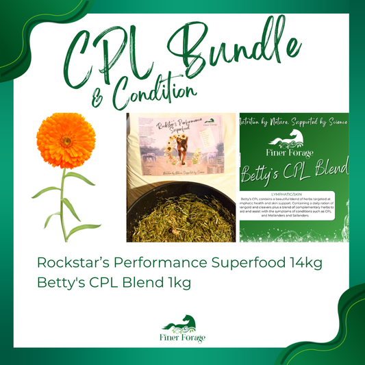 CPL & Condition Bundle