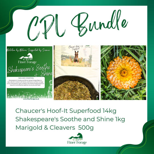 CPL Bundle for lymphatic and skin support