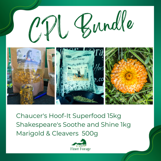 CPL Bundle for lymphatic and skin support