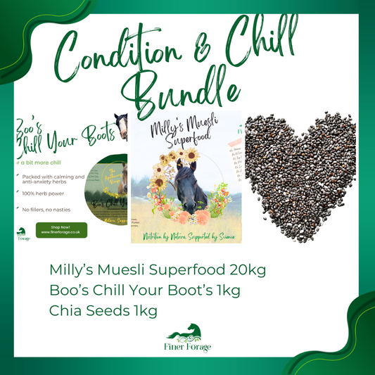 Condition &  Chill Bundle
