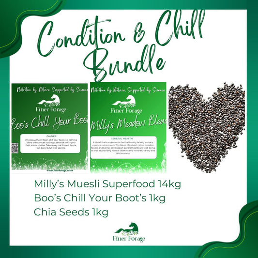 Condition &  Chill Bundle