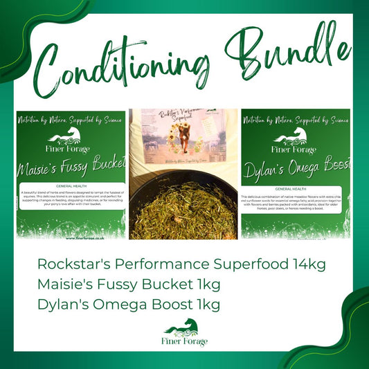Conditioning Bundle