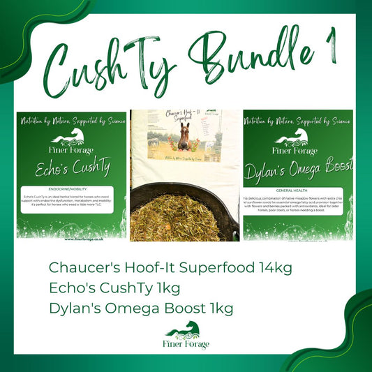 CushTy Bundle 1