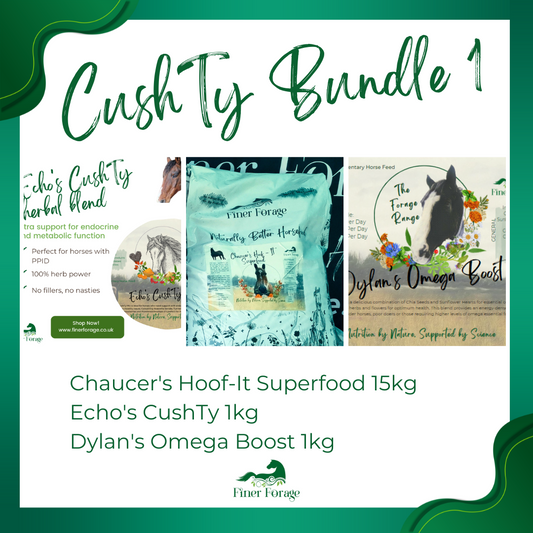 CushTy Bundle 1