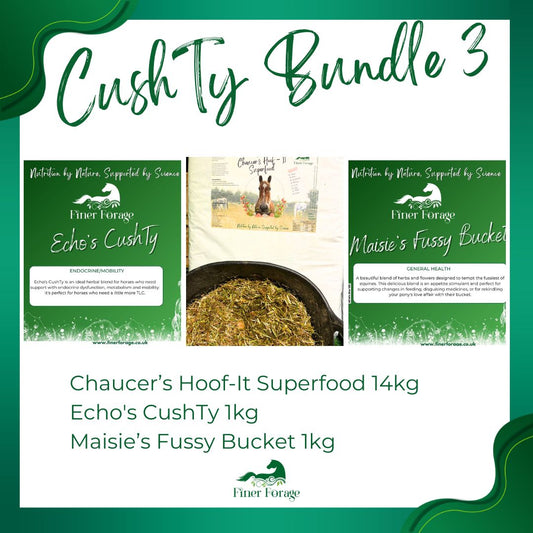 CushTy Bundle 3