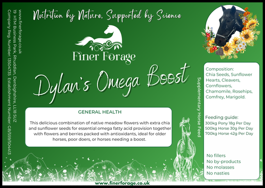 Dylan's Omega Herbal Blend