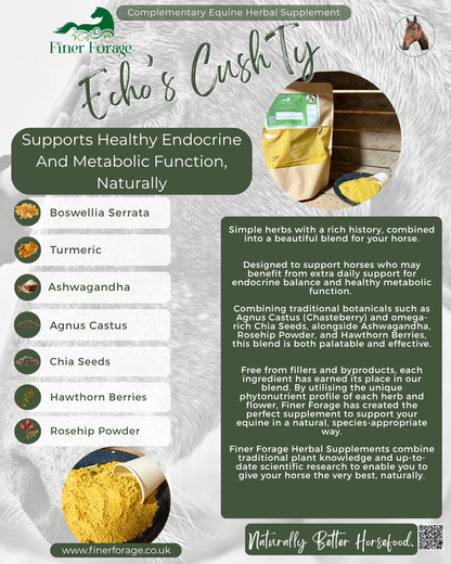 Echo's Cushty Herbal Blend