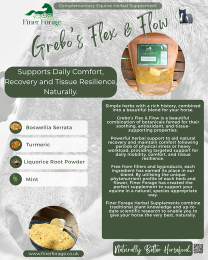 Grebo’s Flex & Flow